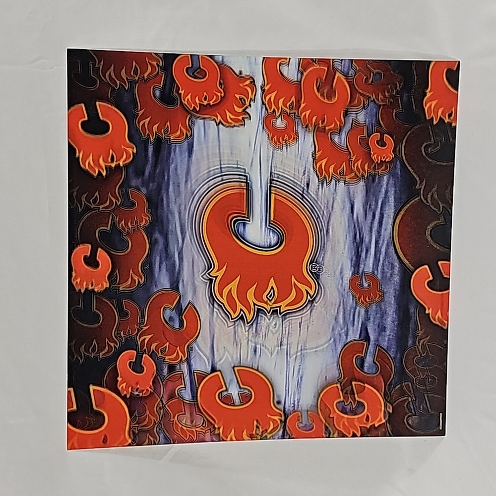 Calgary Flames 3D Picture
